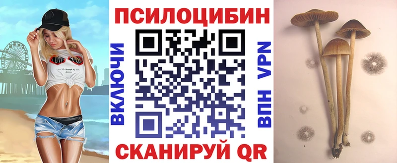 Купить закладки  Кириллов  Псилоцибиновые грибы мицелий 